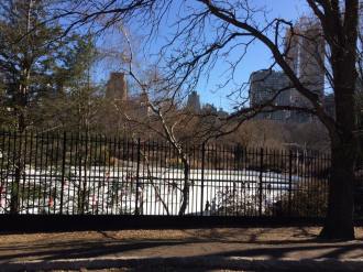 16938483_10208993766550444_8762366301134821910_n